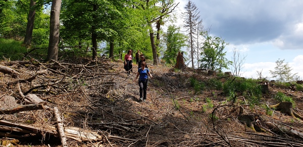 Foto von Leuten beim Wandern.